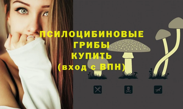 MDMA Premium VHQ Аркадак