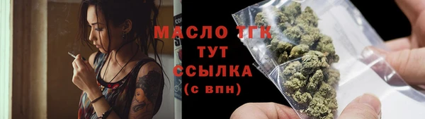 хмурый Арсеньев