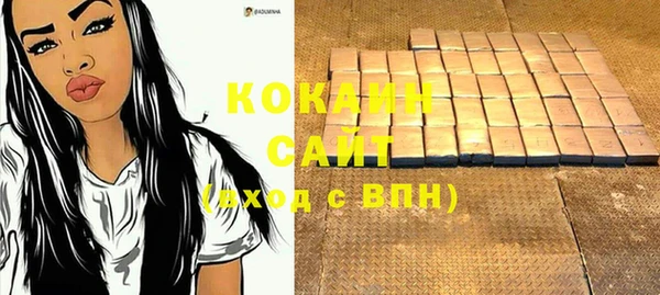 хмурый Арсеньев