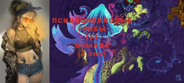прущие крисы Армянск
