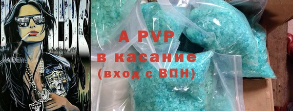 хмурый Арсеньев
