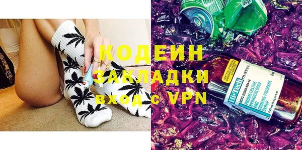 хмурый Арсеньев