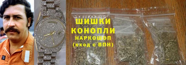 хмурый Арсеньев