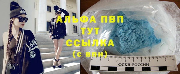 хмурый Арсеньев