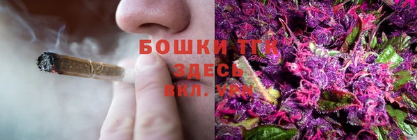хмурый Арсеньев