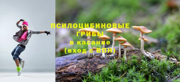 хмурый Арсеньев