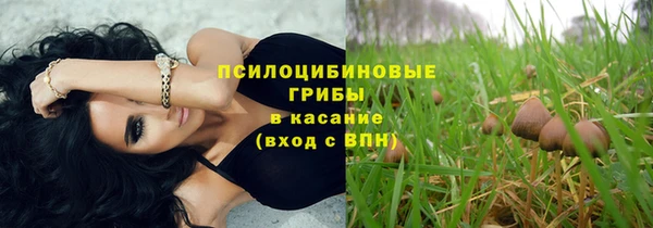 хмурый Арсеньев