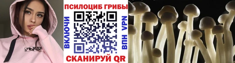 Галлюциногенные грибы Magic Shrooms Кочубеевское